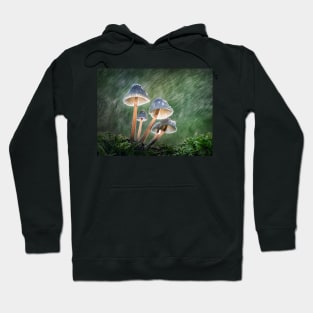 Common Bonnets in Swirling Rain Hoodie